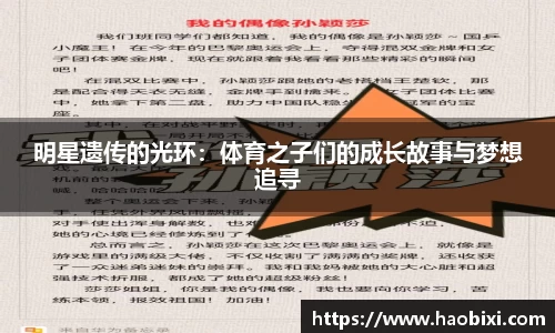 bsports登录入口