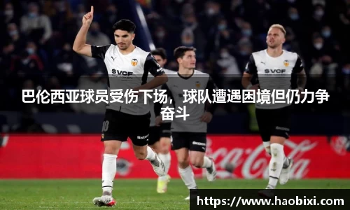 bsports登录入口