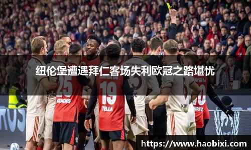 bsports登录入口