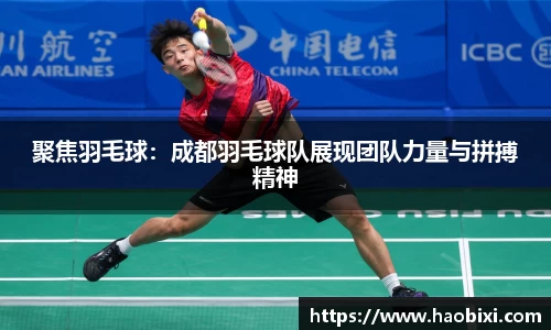 bsports官网入口