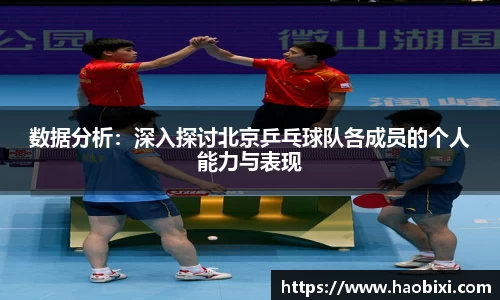 bsports登录入口