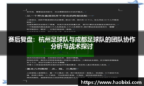 bsports登录入口
