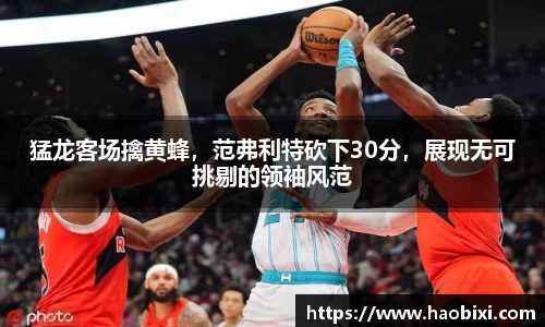 Bsports网页版