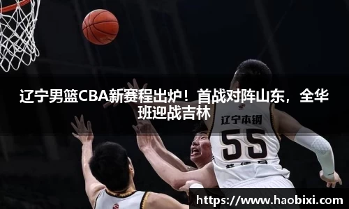 bsports登录入口