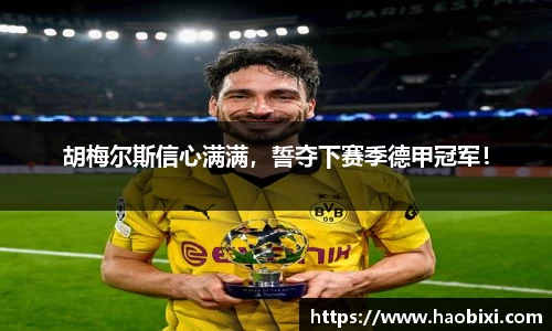bsports登录入口