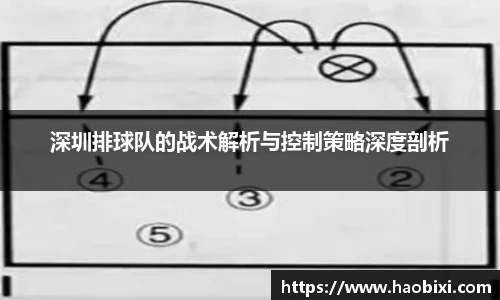 深圳排球队的战术解析与控制策略深度剖析