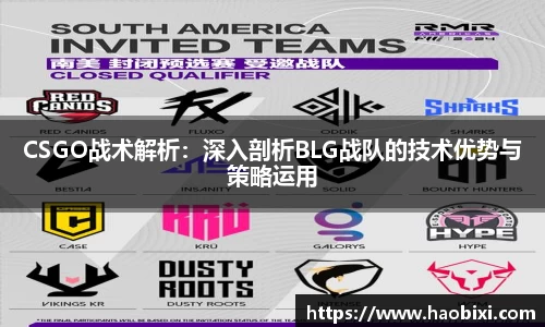 CSGO战术解析：深入剖析BLG战队的技术优势与策略运用