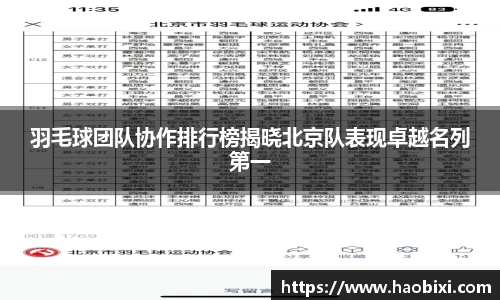 羽毛球团队协作排行榜揭晓北京队表现卓越名列第一