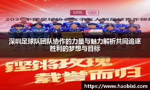 深圳足球队团队协作的力量与魅力解析共同追逐胜利的梦想与目标