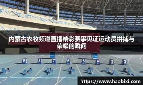 bsports官网入口