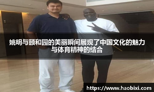 bsports官网入口