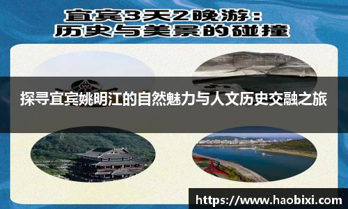 bsports登录入口