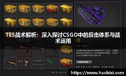 bsports登录入口