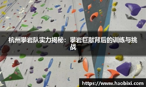 bsports官网入口