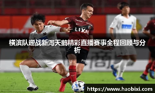 Bsports网页版