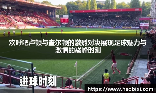 bsports官网入口