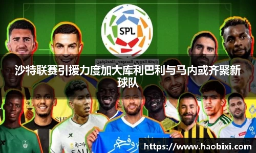 bsports登录入口