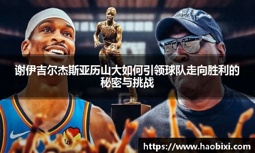 bsports登录入口