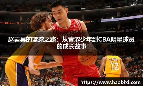 bsports登录入口
