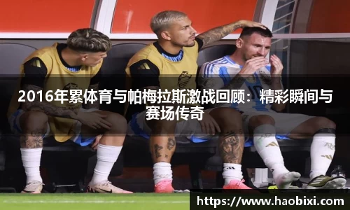bsports登录入口