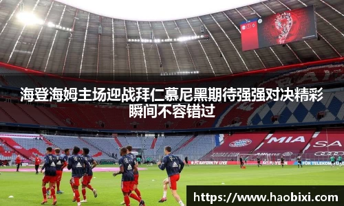 bsports登录入口