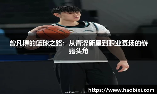 bsports登录入口