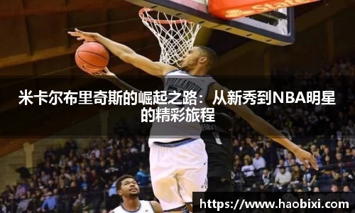 bsports登录入口