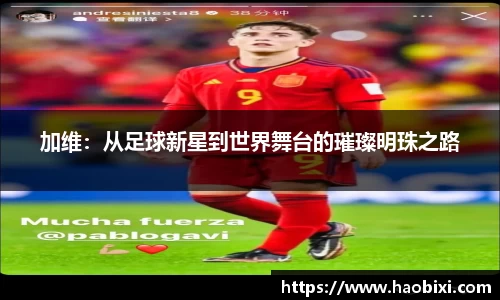 bsports登录入口