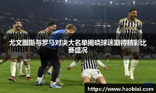 bsports官网入口