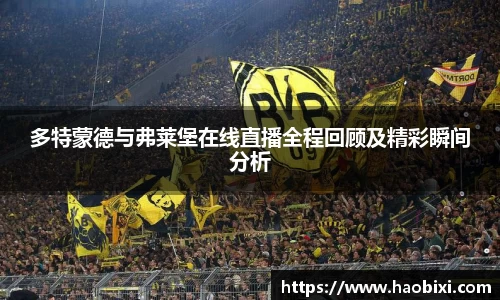 多特蒙德与弗莱堡在线直播全程回顾及精彩瞬间分析