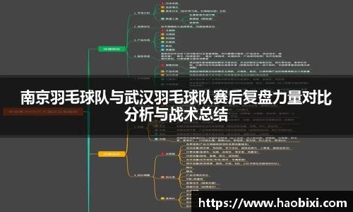 南京羽毛球队与武汉羽毛球队赛后复盘力量对比分析与战术总结